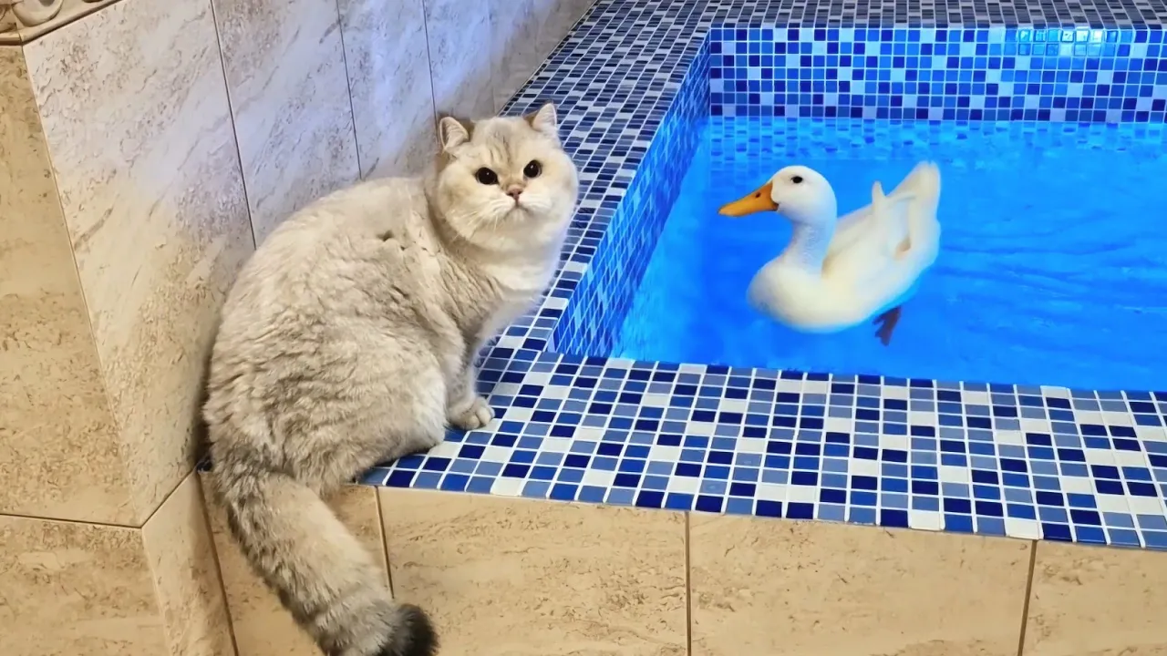 Adorable Pikachu Explores the Pool