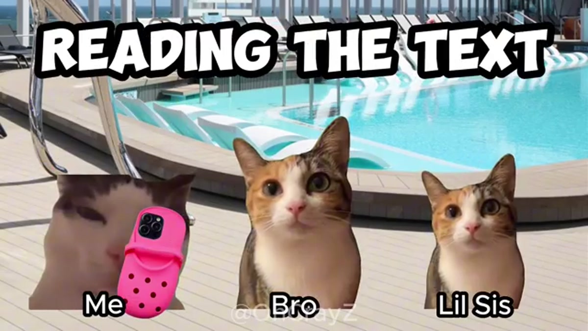 Get ready for the purrfect cruise experience with hilarious cat memes!