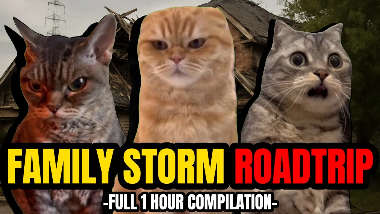 1 HOUR OF HILARIOUS CAT MEMES ON A FAMILY ROADTRIP