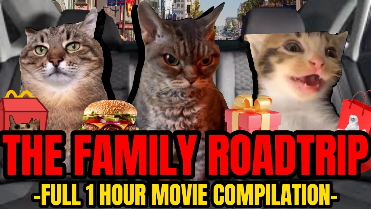 1 Hour of Hilarious Cat Memes on a Family Road Trip