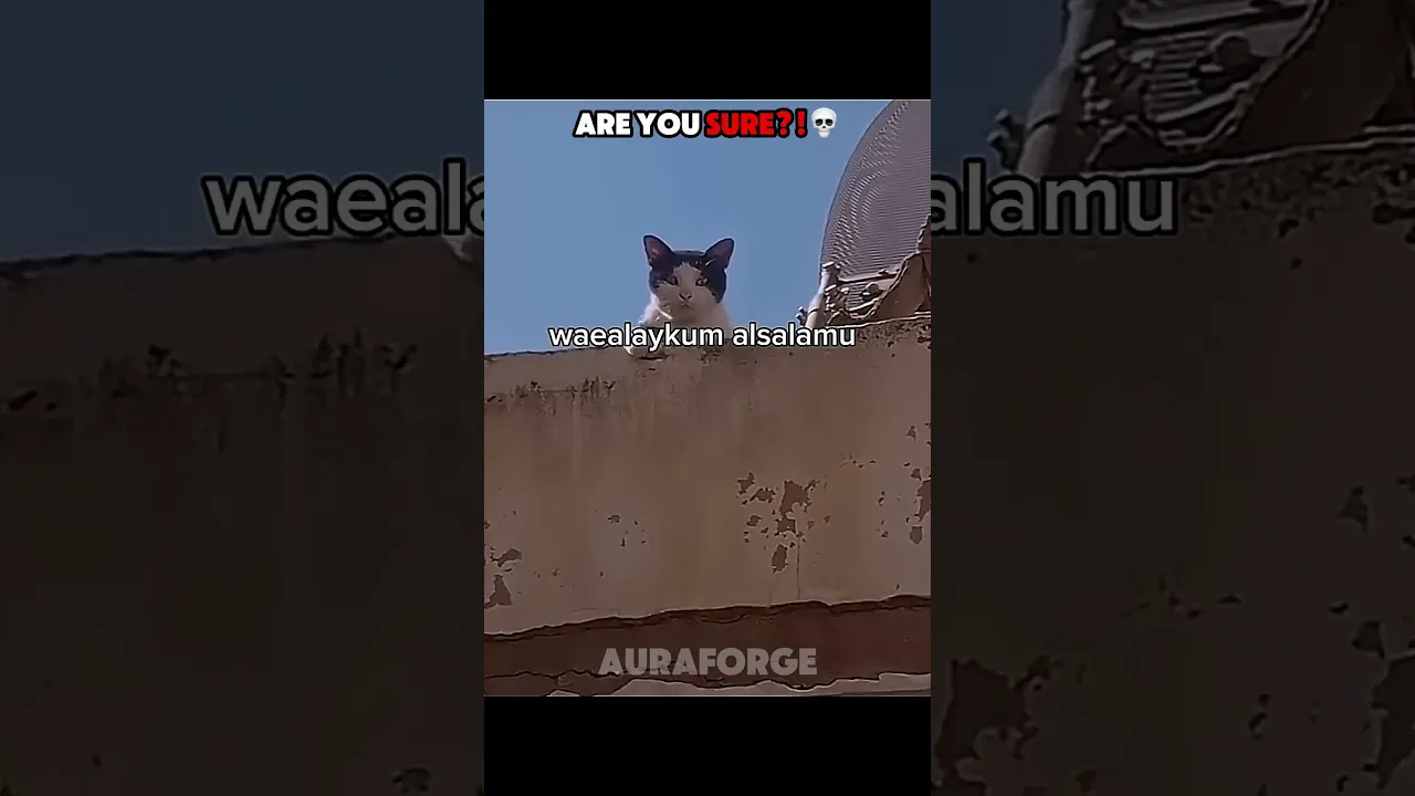 The Amazing Talking Cat: Watch This Clever Kitty!