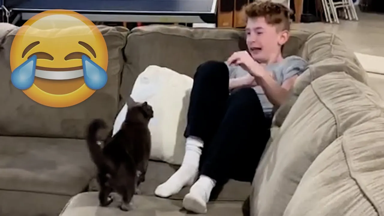 Savage Cat Attacks Compilation - Watch Now! 🐱🔥