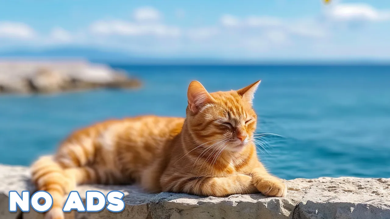 Ultimate Relaxation Music for Cats 🐱 12 Hours of Calming Tunes for Anxious Kitties