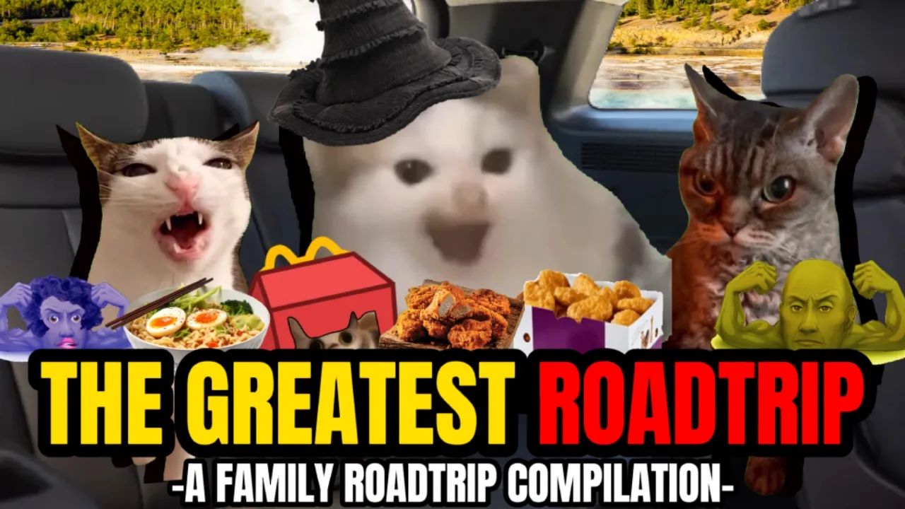 Ultimate Cat Memes Road Trip Compilation - Bonus Scenes Included