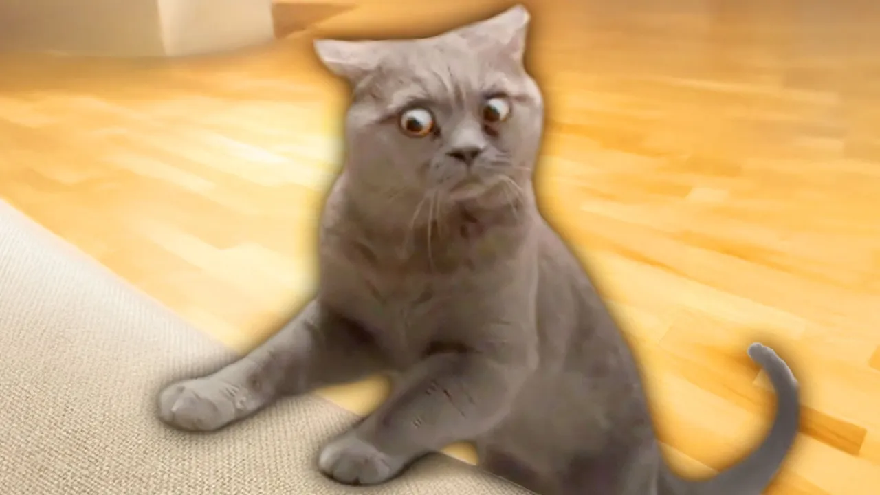 Top 10 Purrfect Cat Videos from the Last 10 Years