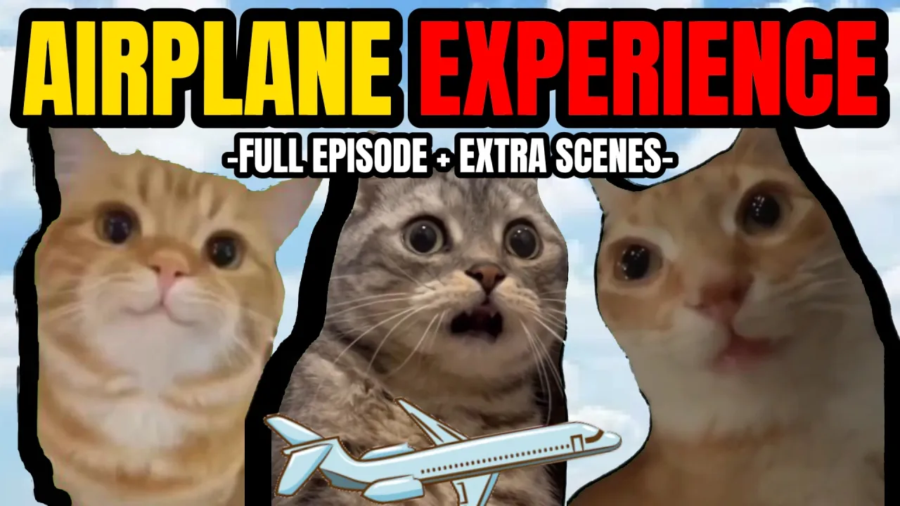 Hilarious Cat Memes: Chaos on a Family Vacation Plane Ride
