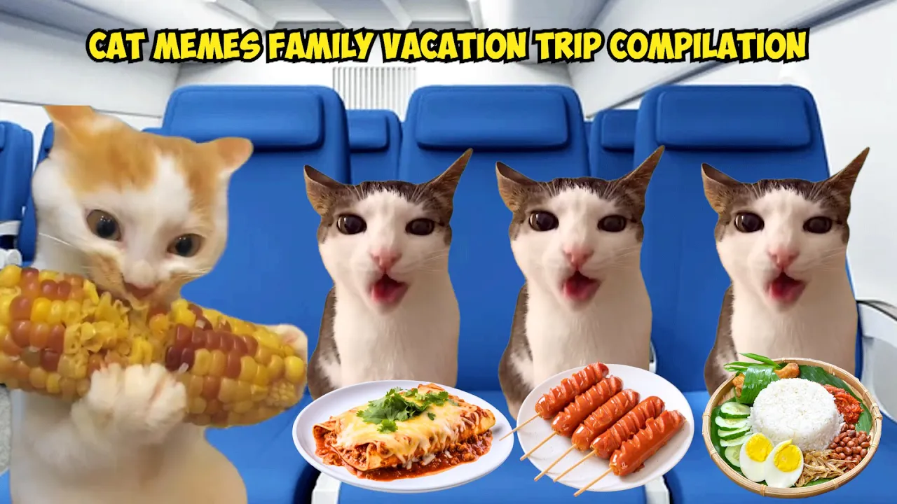 Purr-fect Family Vacation: Cat Memes Compilation