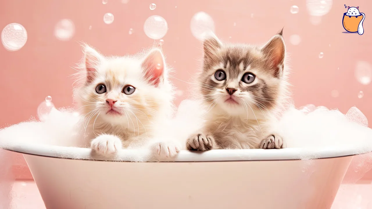 Soothing Cat Lullabies for Sleepy Kittens