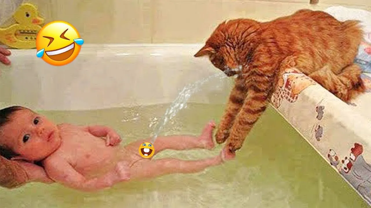 Watch this adorable cat bond with its human 😻 | Funny cat videos