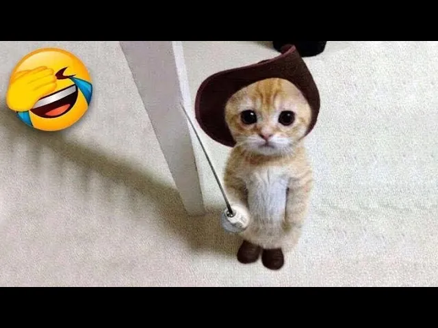 Hilarious Cat Fails Compilation | Must-See Cat Memes (Part 6)