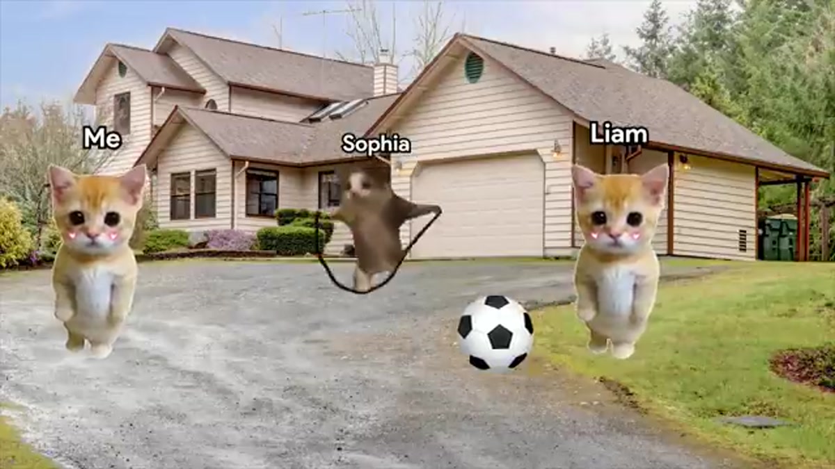 1 Hour of Hilarious Cat Memes on a Roadtrip! 🐱🚗